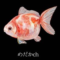 medaka_ch_