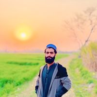 mardankin302