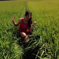 nhạc nền - Cô Hai Báo 💜💜