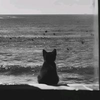 nhạc nền - Music remix