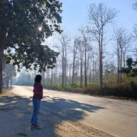 original sound - nawlehhtoo0