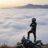 plam_kabpom