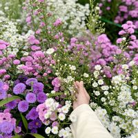 suara asli - Whenthephonerings🔥