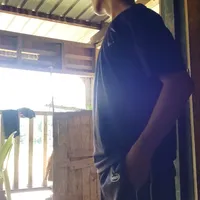 original sound - dellv12