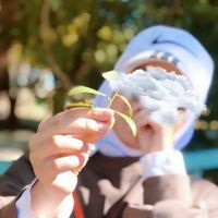 الصوت الأصلي