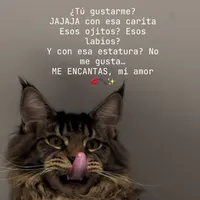 original sound - bubucita762