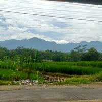 suara asli - @D