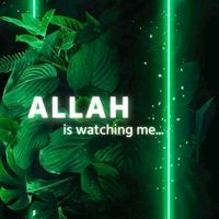 user7944706956261jannat