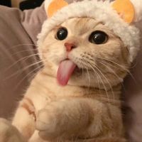lyly.lyly82