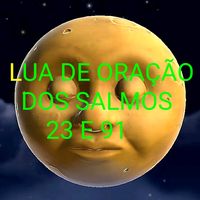 francisco_p.silva1974