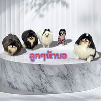 annieann1724