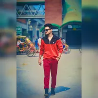original sound - robin_sha1