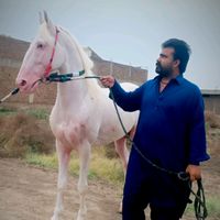 waseem__ahmed__110