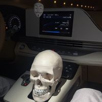 _txll1