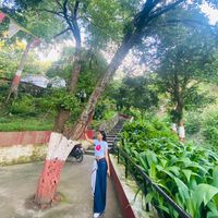 sani_sani19