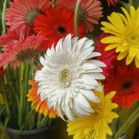 original sound - user3667261509339