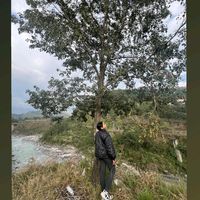 bezayatripathi
