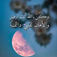 mahmaoud44