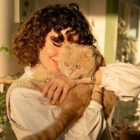 الصوت الأصلي