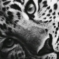 original sound - kallini00