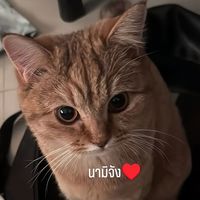 nami_04134