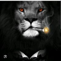 yaqubovf_official