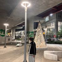 原聲 - C