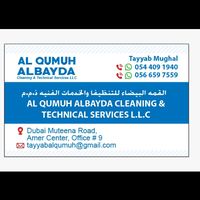 ladlamughal691