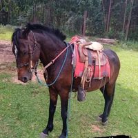 estilo_bruto_de_minas_1