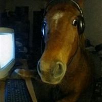 chadkhazix