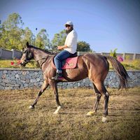 koaungkyaw786official