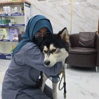 callmevet