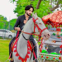 sarkarali_tiwana