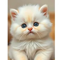 original sound - meowmotion_id