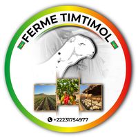 fermetimtimol