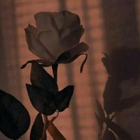 sxrxxthi_27