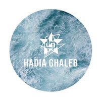 hadiaghaleb.com