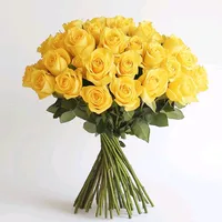 original sound - rameezraja6959