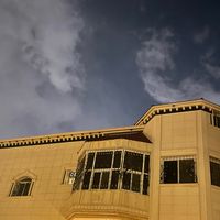 الصوت الأصلي