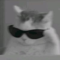 suara asli - FNAA