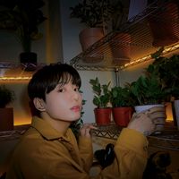 faviee__7