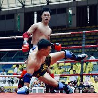 huyhoang106_mvp