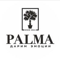 qarshi_palma_