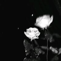 usernn.0