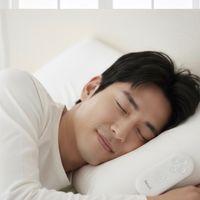 เสียงต้นฉบับ - Ov showsee