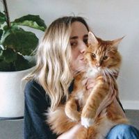 smeagolscats