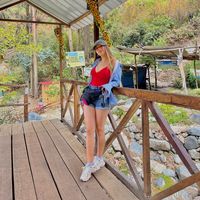 nancycrdvlo