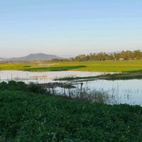 thuraaung042