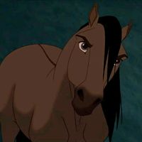 caballos_horse_edits