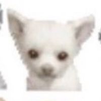 barabarababy_